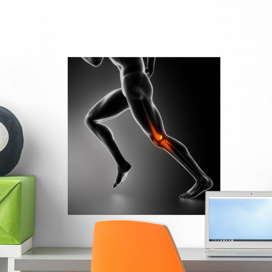Sports Knee Injury X-ray