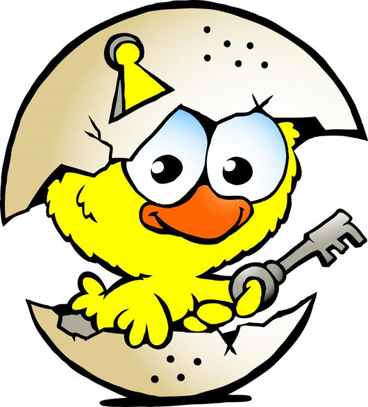 illustration of an cute baby chicken sitting in eggshell Wall Decal