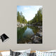 Altai River Kumir Wall Mural