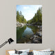 Altai River Kumir Wall Mural