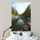 Altai River Kumir Wall Mural