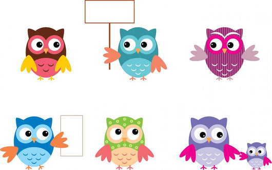 Drawn Owls Different Types Wall Mural