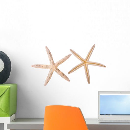 Sea Star