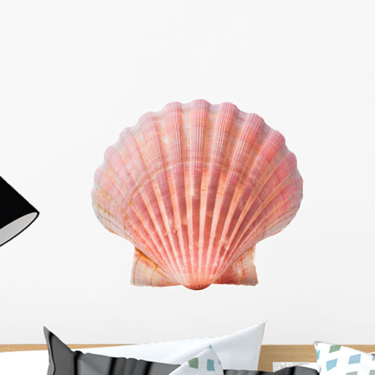 scallops shell Wall Decal