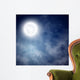 Night Sky