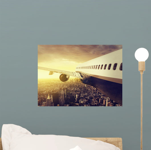 Airplane over Big City