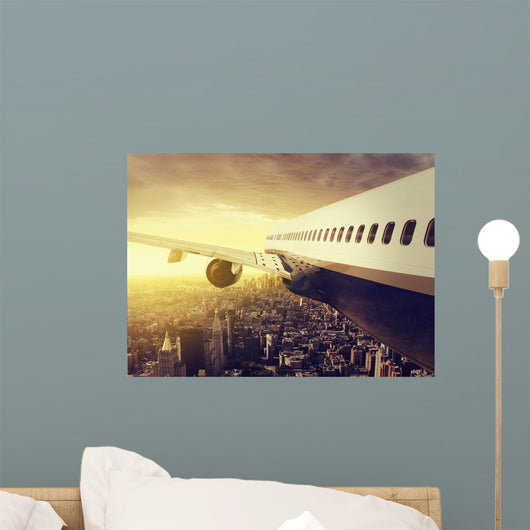 Airplane over Big City