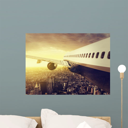 Airplane over Big City