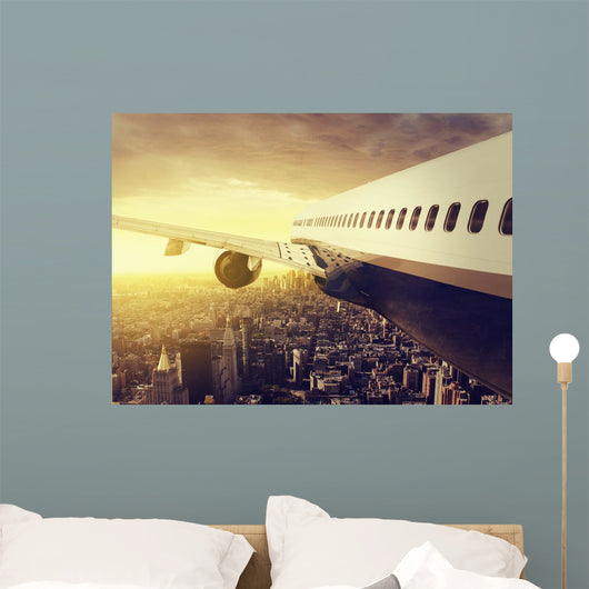 Airplane over Big City