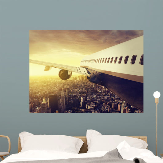 Airplane over Big City