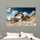 Excavator Bulldozer Quarry