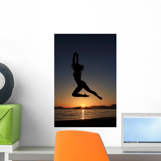 Sunset and Silhouette