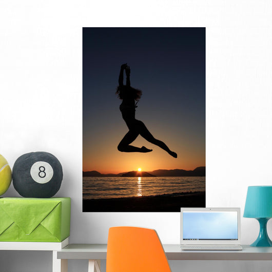 Sunset and Silhouette