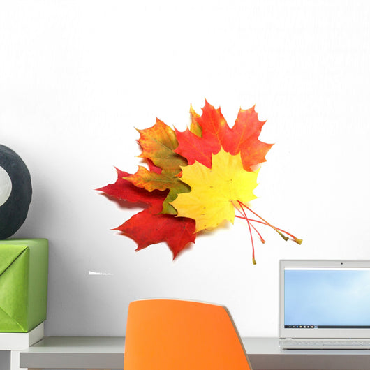 Maple leaves - autumn color. Wall Decal