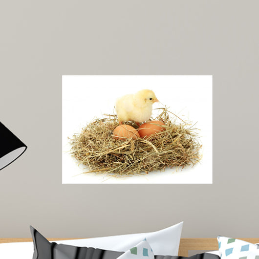 Beautiful Little Chicken Nest Wall Decal