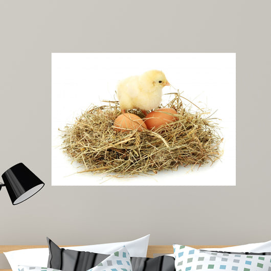 Beautiful Little Chicken Nest Wall Decal