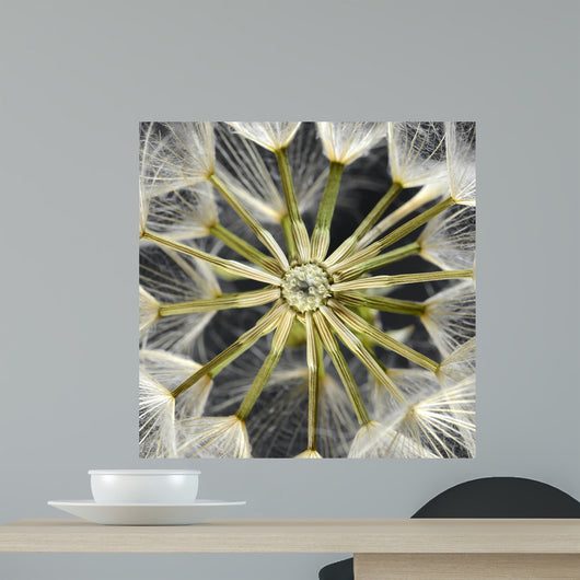 Close-Up of Dandelion Seed Head Wall Mural