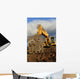 Big Excavator Working Mountain