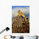 Big Excavator Working Mountain
