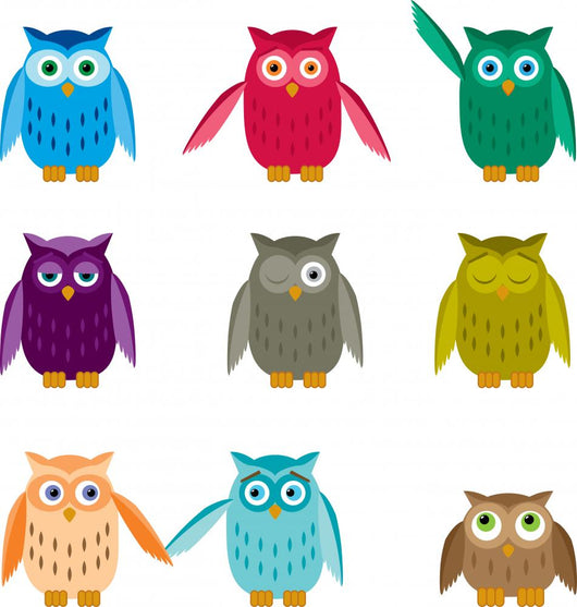 Set Colorful Owls Wall Mural