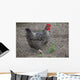 Hen Wall Mural