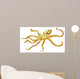 Blue-ringed Octopus