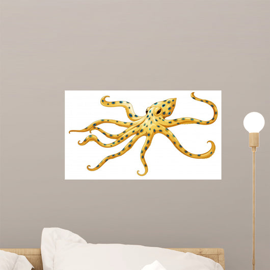 Blue-ringed Octopus