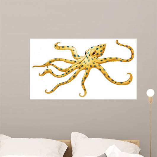 Blue-ringed Octopus