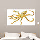 Blue-ringed Octopus
