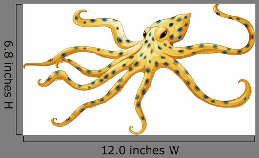 Blue-ringed Octopus