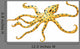 Blue-ringed Octopus