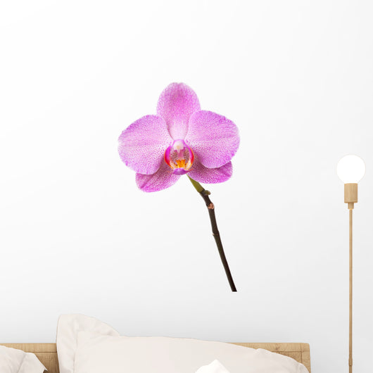 Purple orchid Wall Decal