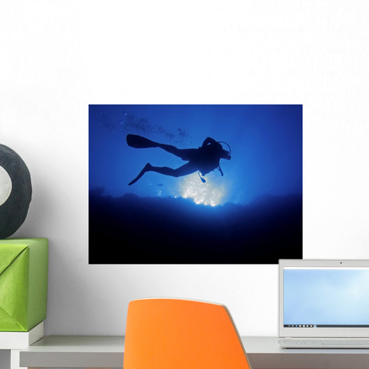 Scuba diver from below Wall Mural