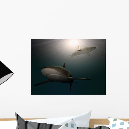 Sharks Water