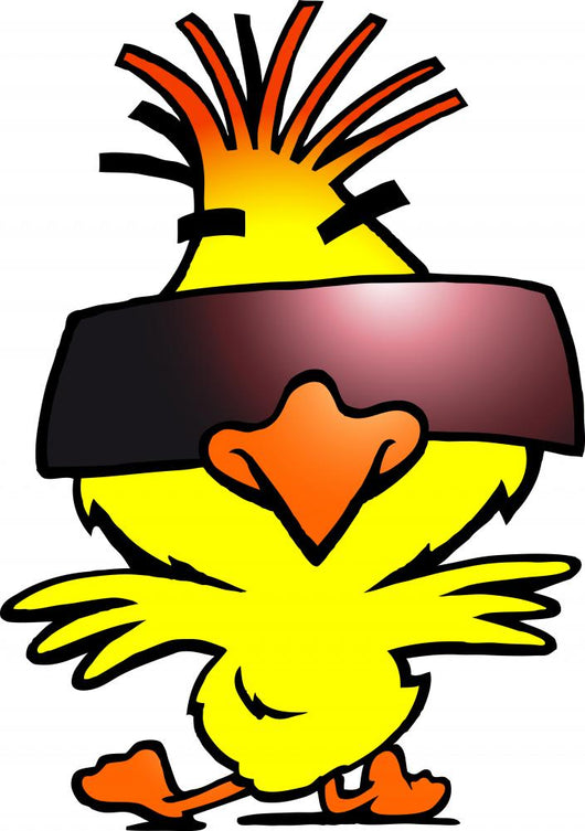 illustration of an smart dancer chicken with cool sunglass Wall Decal