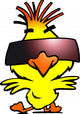 illustration of an smart dancer chicken with cool sunglass Wall Decal