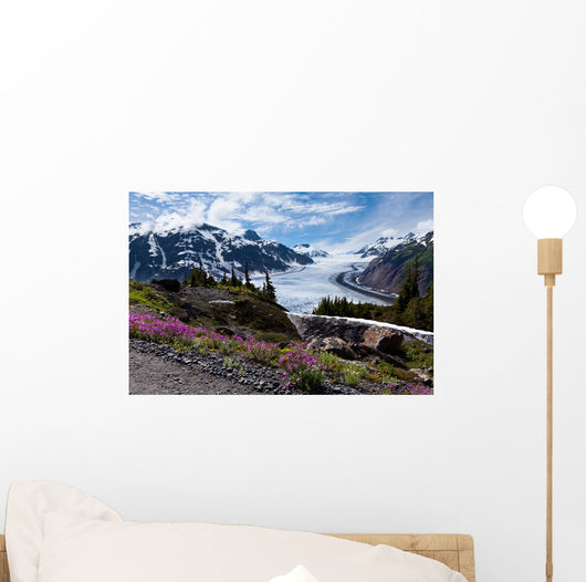 Salmon Glacier Wall Mural