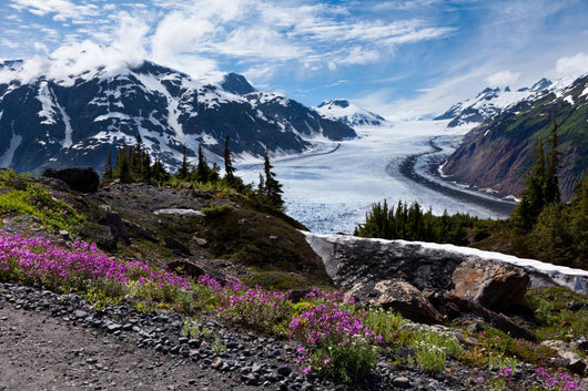Salmon Glacier Wall Mural