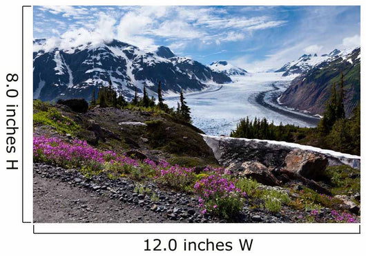 Salmon Glacier Wall Mural