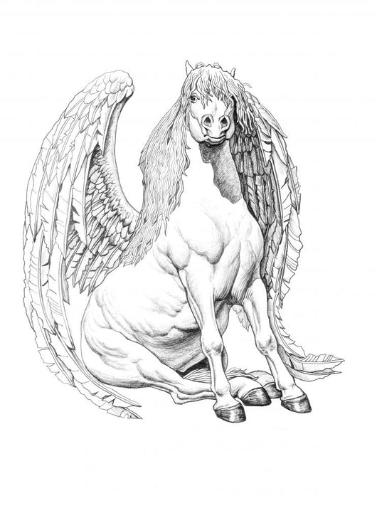 Pencil Drawing Pegasus Wall Mural