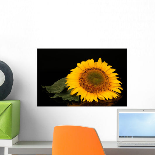 Sunflower Black