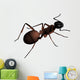 Formica - Ant Wall Decal