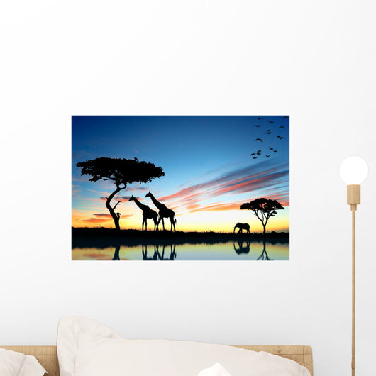 Safari Africa Silhouette Wild
