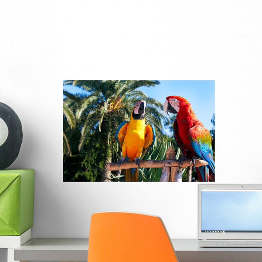 Parrots