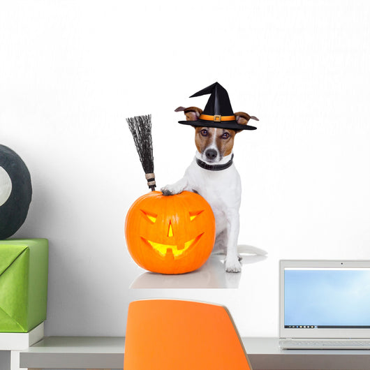 halloween pumpkin witch dog Wall Decal