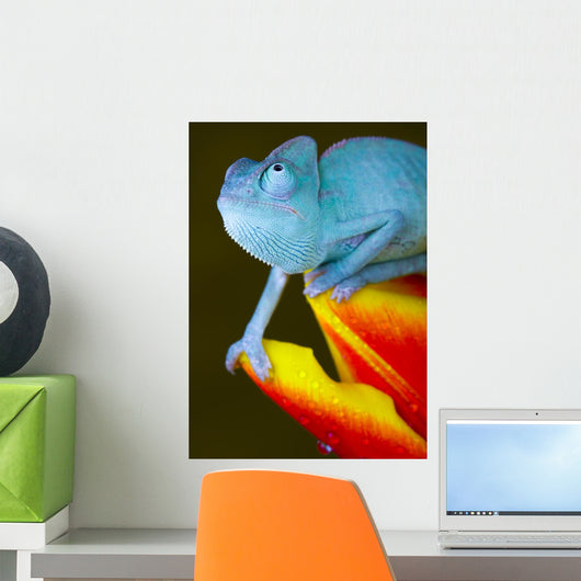 Reptile Wall Mural
