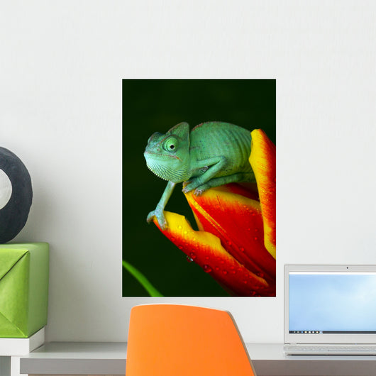 Reptile Wall Mural