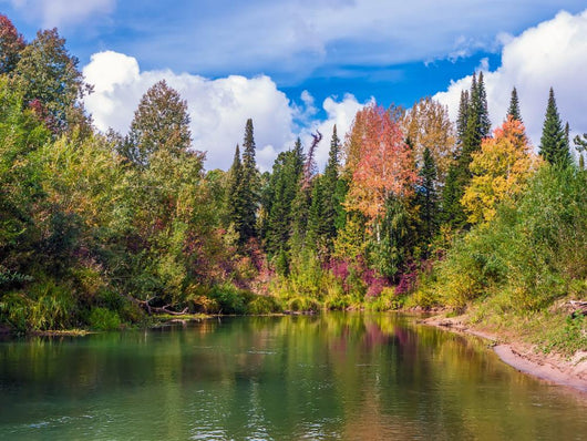 Autumn Landscape with River
