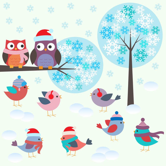 Birds and Owls Winter