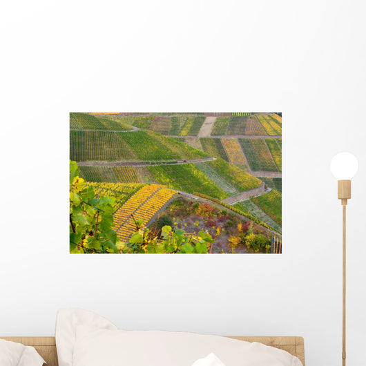 Vineyards
